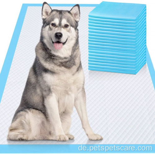 6-layer Ultra saugfähige Pee-Pads Hunde 30 Zählungen